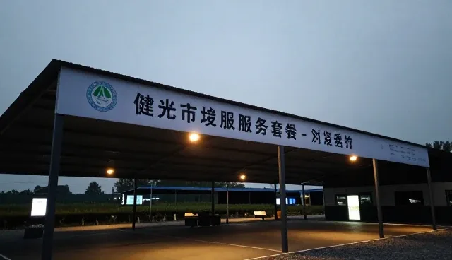 医疗技术服务系统优化的关键关注点解析